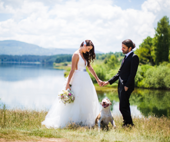Bride and groom dog