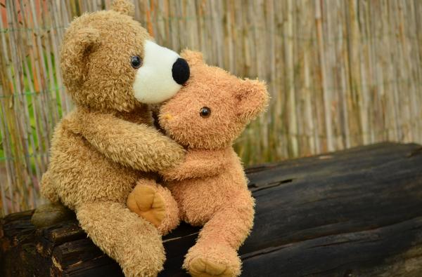 teddy hug