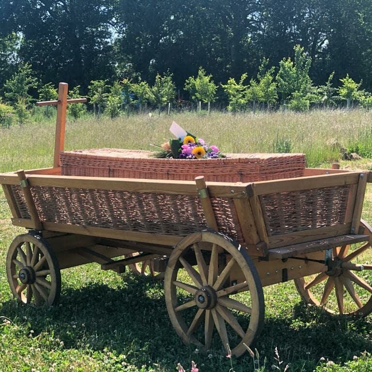 Funeral_Coffin_in_Cart_at_Wildflower_Meadow_(6)-min