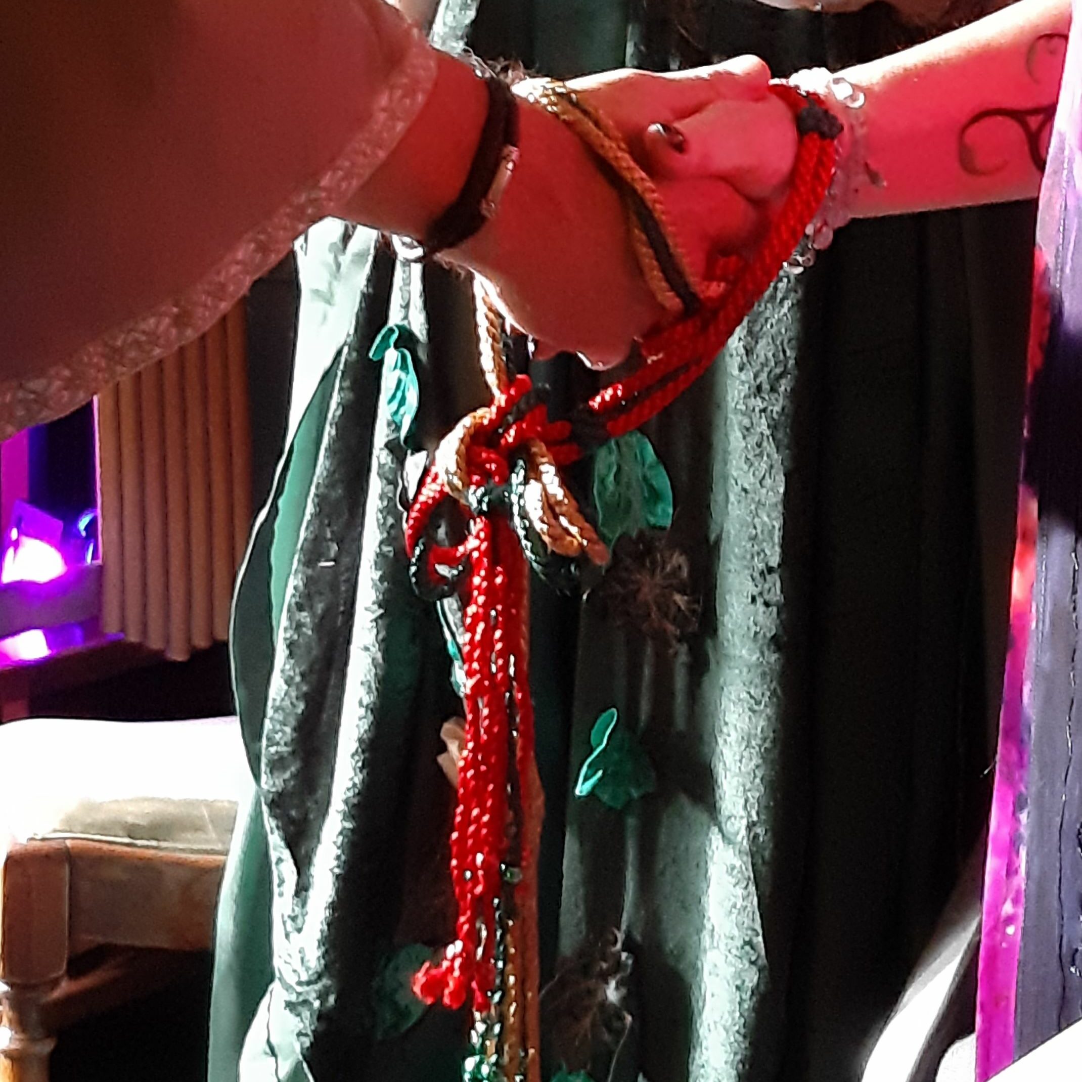 Handfasting with Swans Wing Ceremonies by Jane